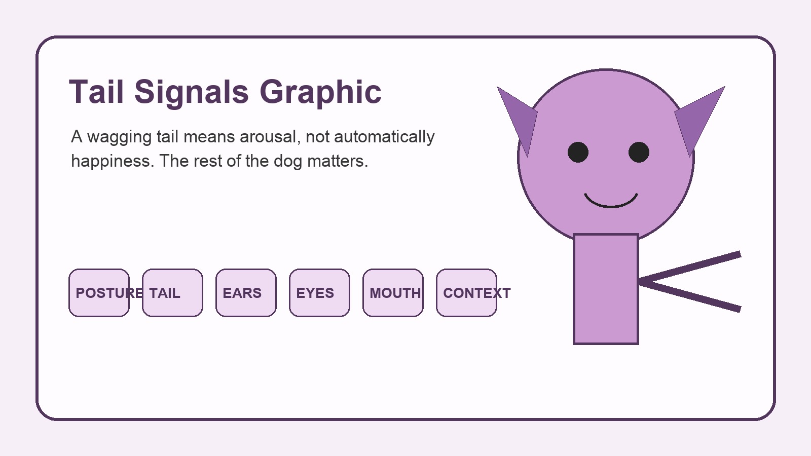 Dog tail positions and wag styles explained with simple visual cues