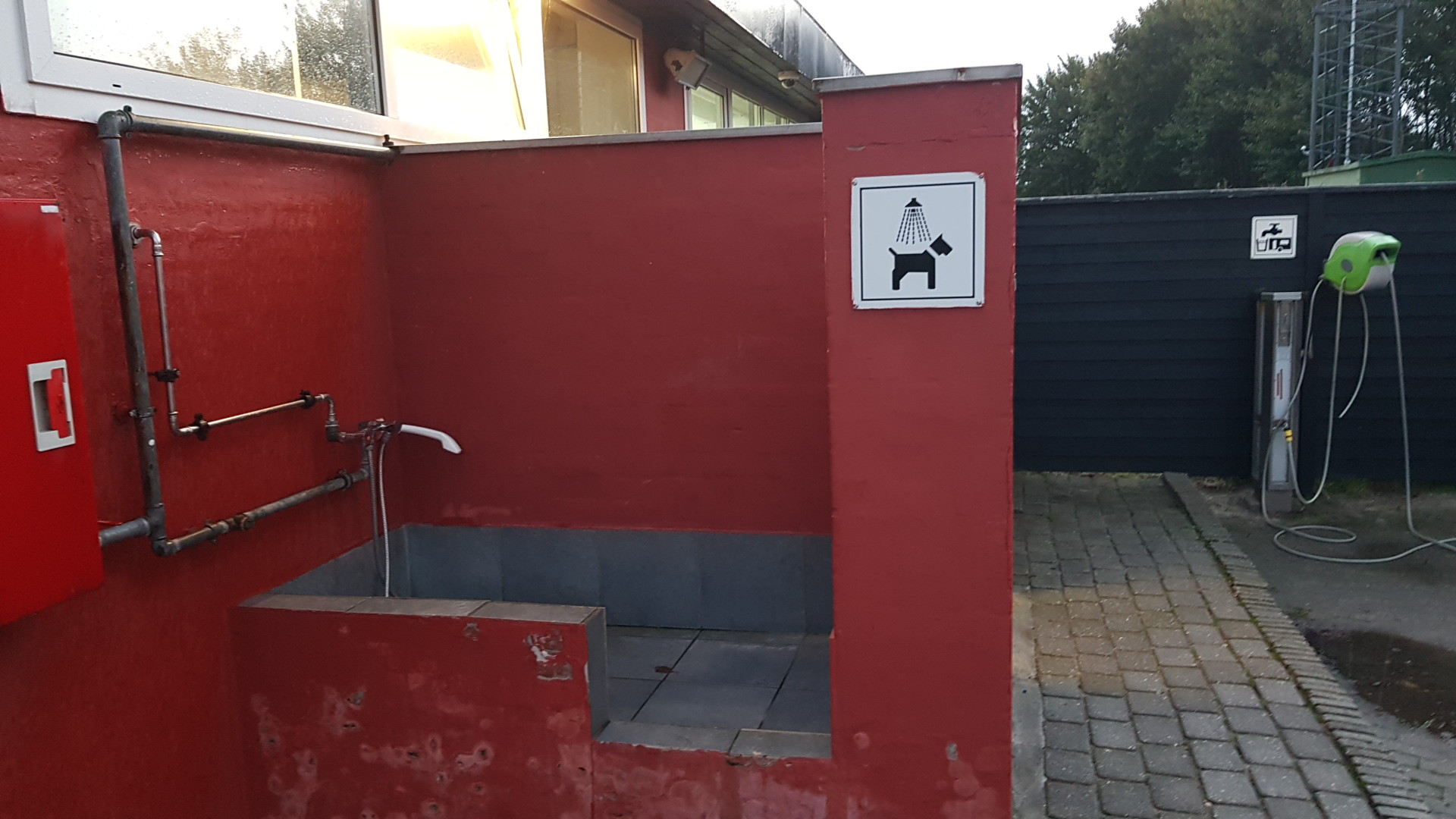 A dog receiving an outdoor bath