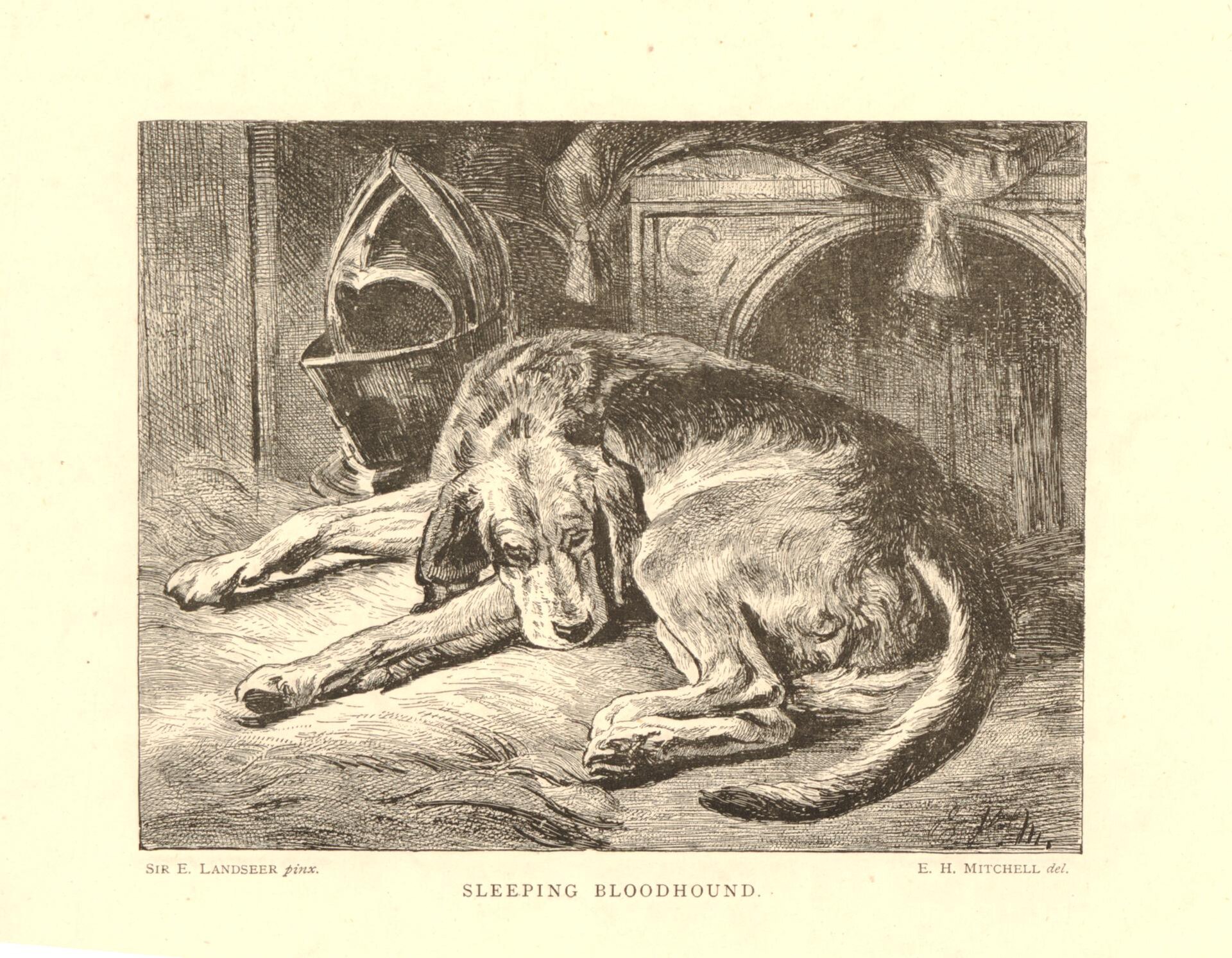 A nineteenth-century lithograph of a sleeping Bloodhound after Edwin Landseer.