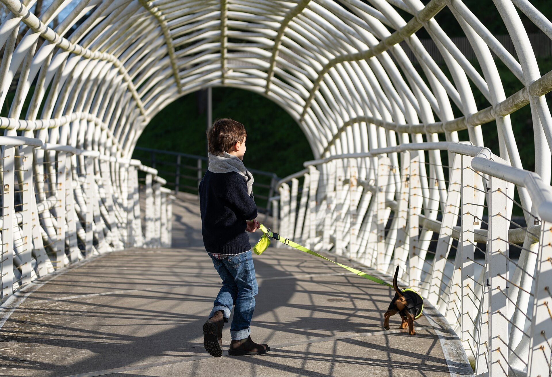 A person walking a Dachshund by the river.
