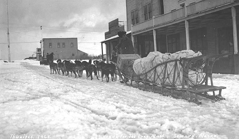 A dog sled team carrying freight near Seward, Alaska, around 1914.