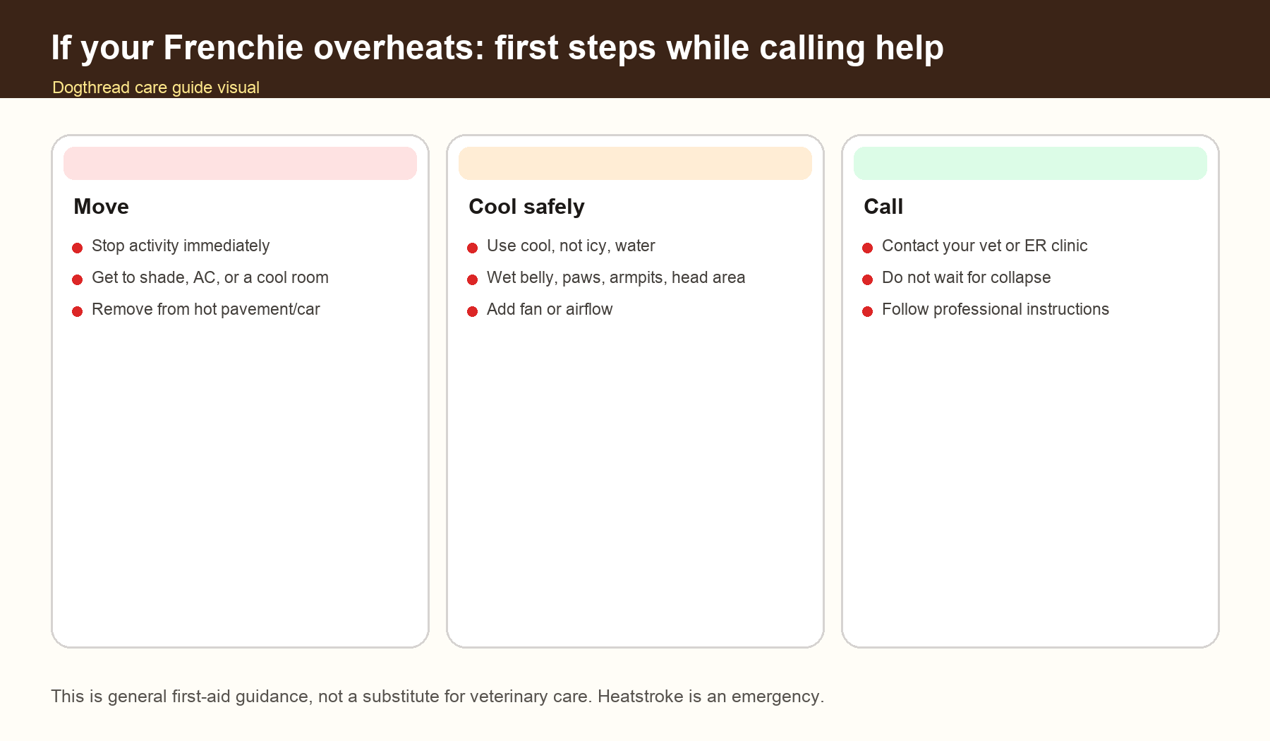 First aid cooling steps for an overheated French Bulldog