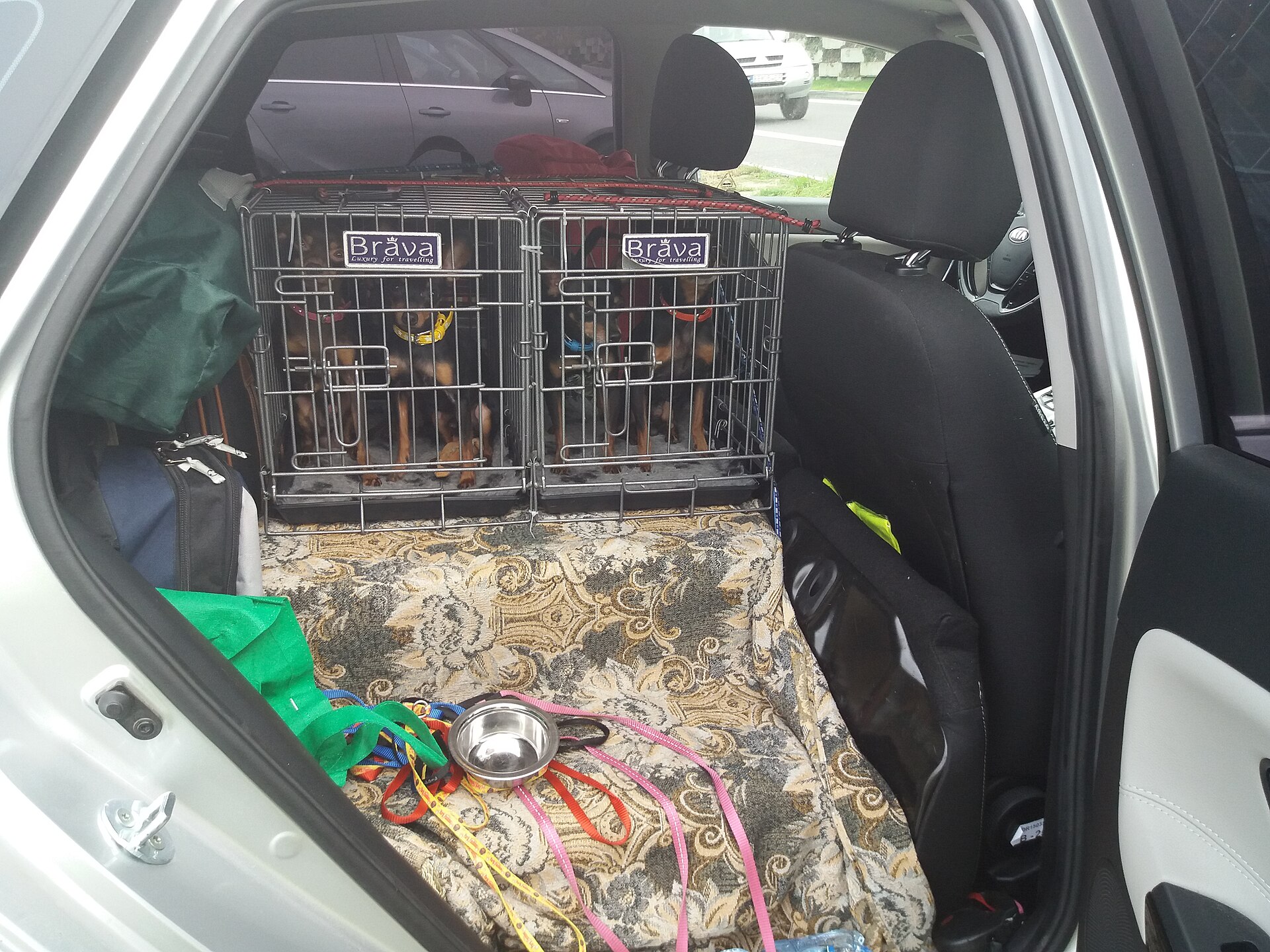 Two dogs secured in separate wire crates in a vehicle