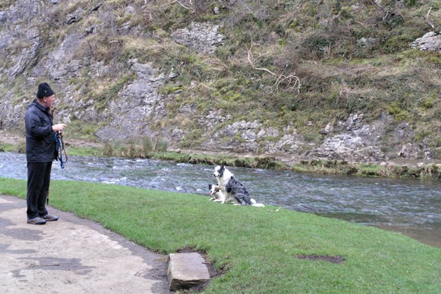 Two dogs practicing in an open training area