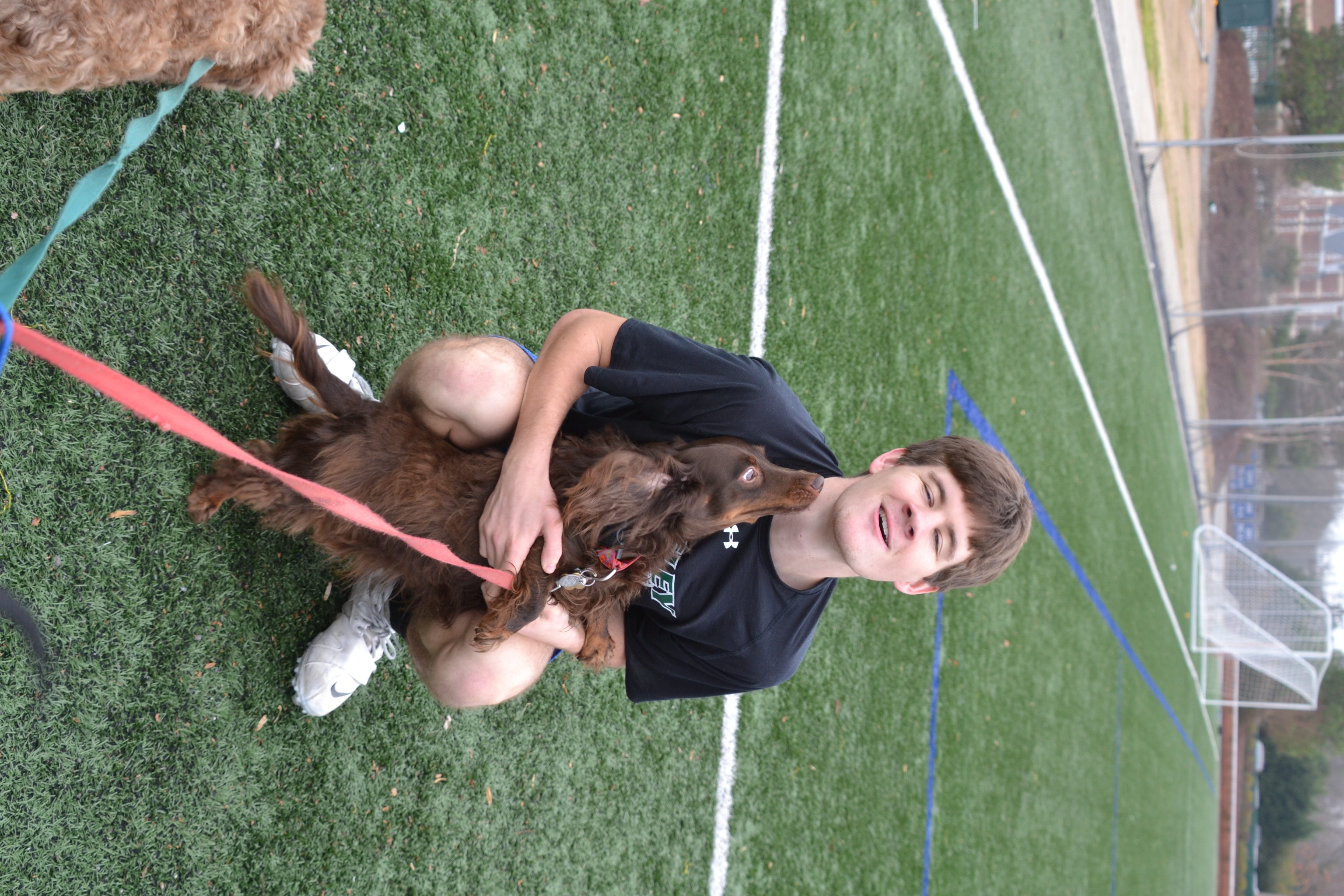 A dog standing close to a seated person during a greeting