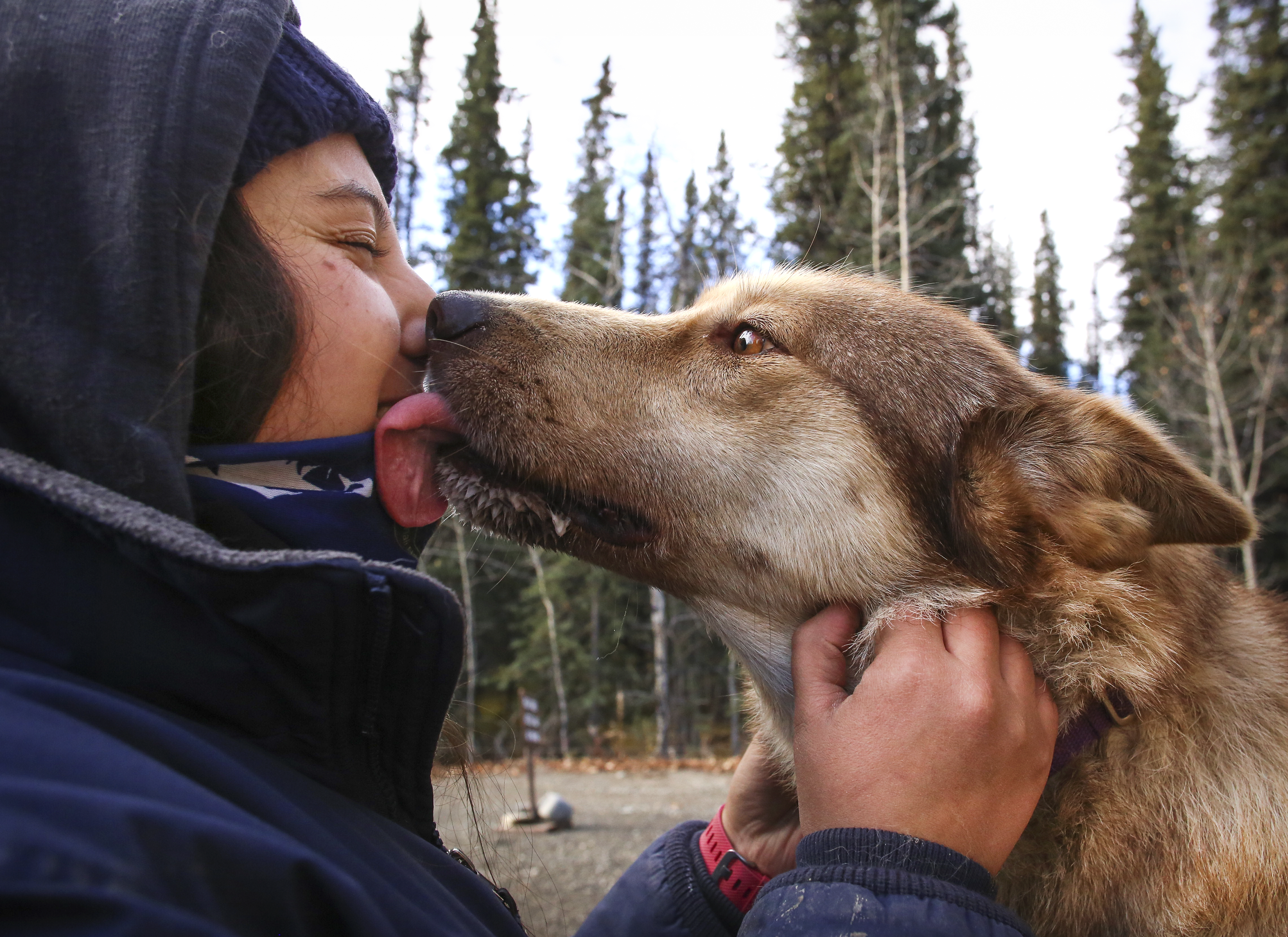 A dog greeting a bundled-up person during a structured outdoor interaction
