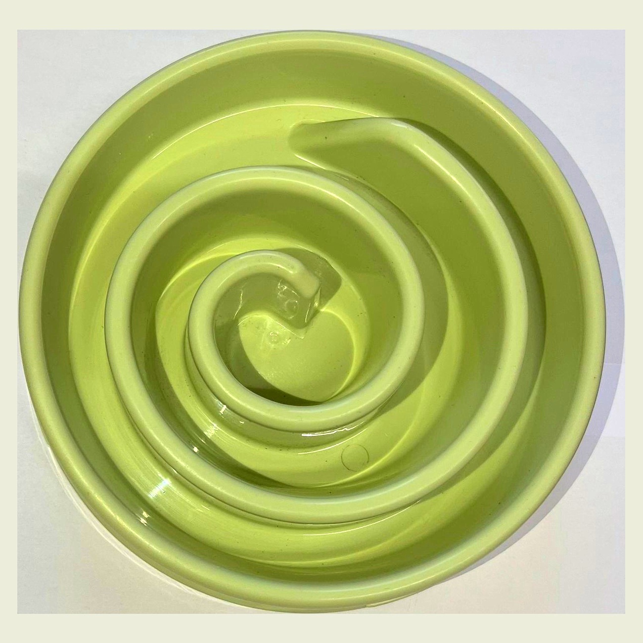 A green spiral slow-feeder dog bowl